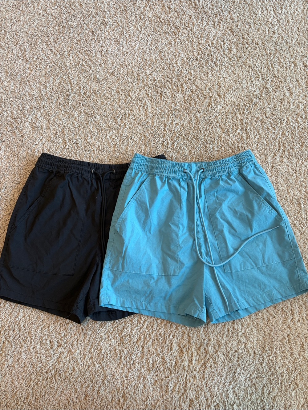 PacSun men’s size small black shorts and blue volley shorts.